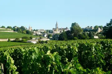 saint emilion 1