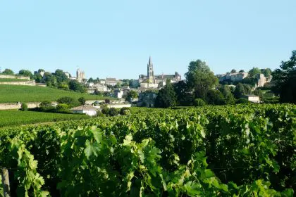 Saint Emilion 1