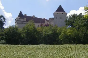 chateau de goudourville